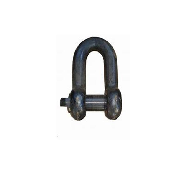 Bow-shaped shackle